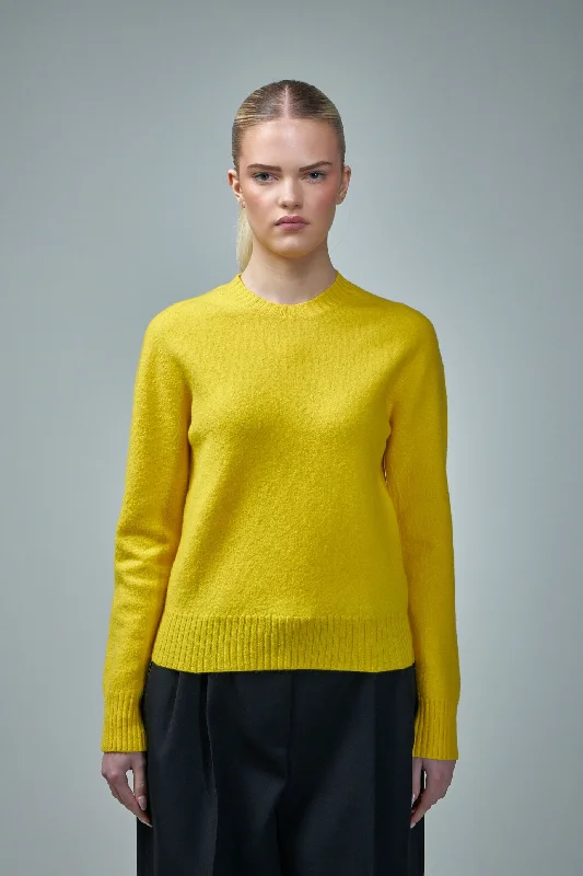 Wool Crew-Neck Sweater Fleece Sweater Nylon Polyester